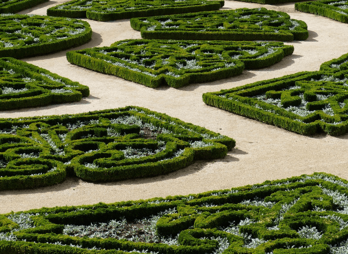 정원 꾸미기 노하우, 회양목 정원