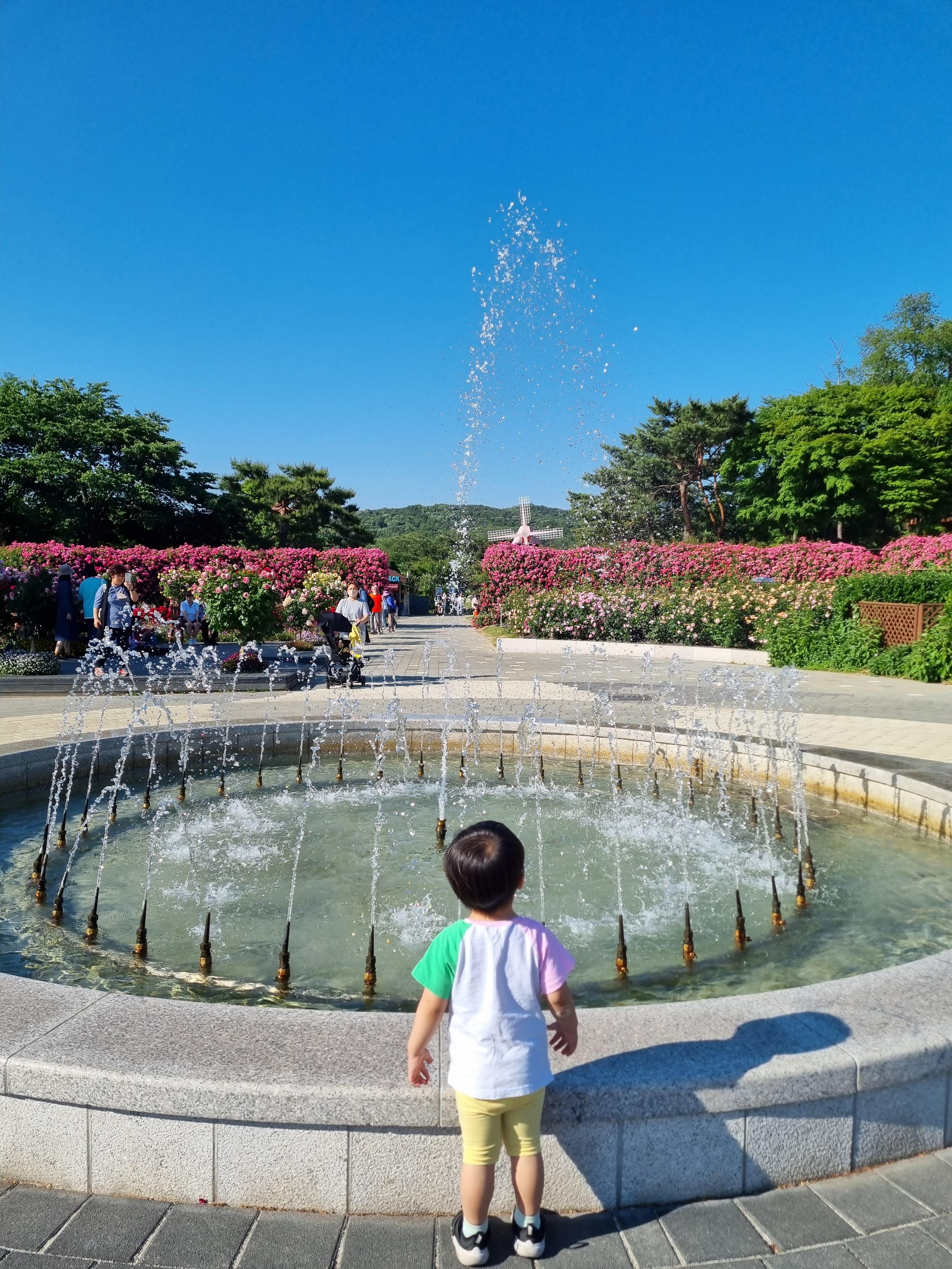 서울대공원 장미원 분수대