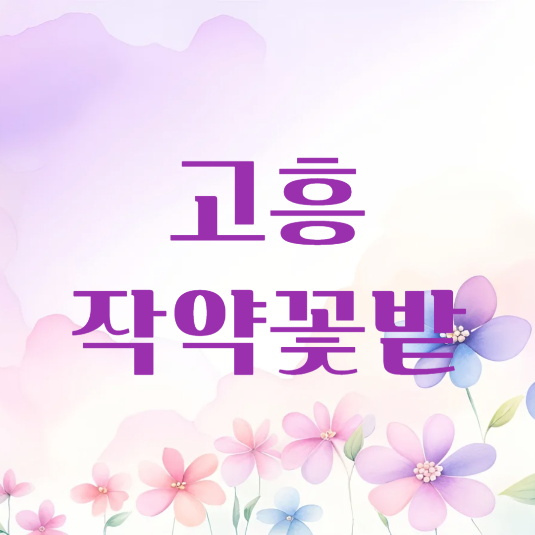 고흥 작약 꽃밭
