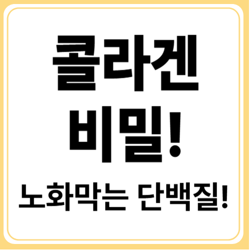 콜라겐의 진짜 효능은? 피부부터 관절까지 달라지는 몸의 변화