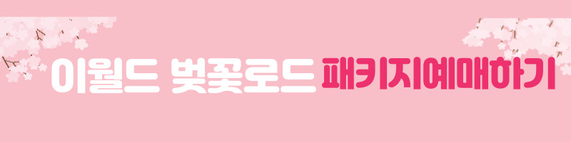 이월드벚꽃로드