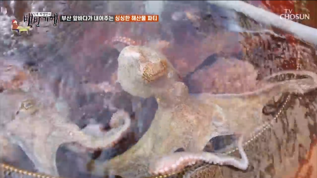 문어