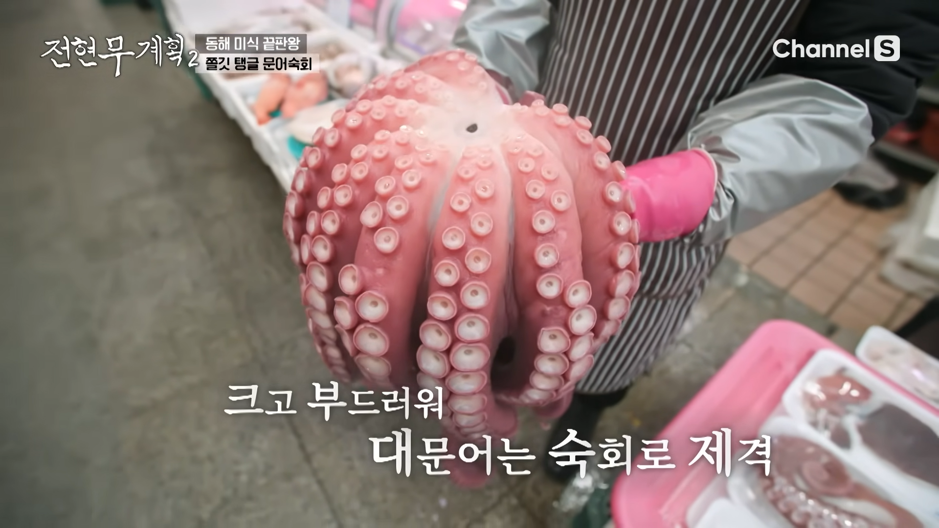 전현무계획2 문어숙회