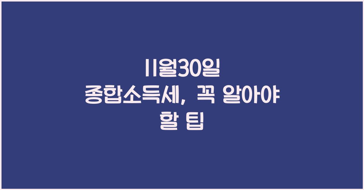 11월30일 종합소득세