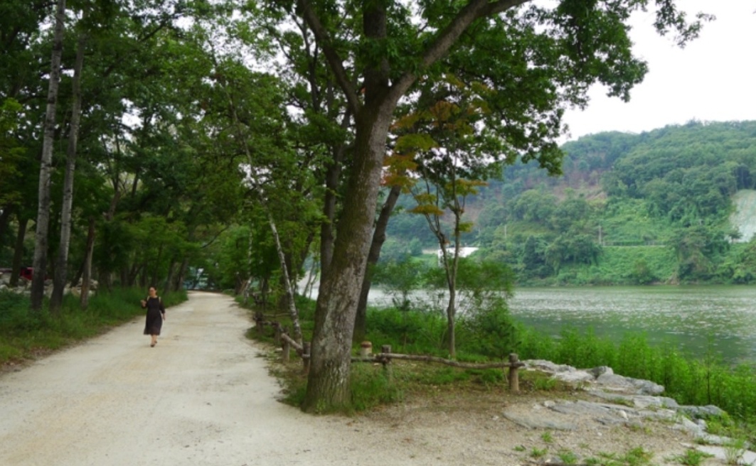남이섬 별장마을 오솔길 이미지