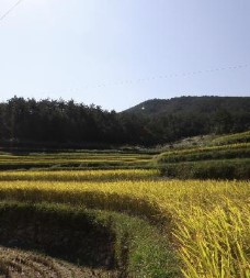 완도여객선터미널 청산도 배편 예약과 시간표 및 운임요금 및 주차요금 관련사진