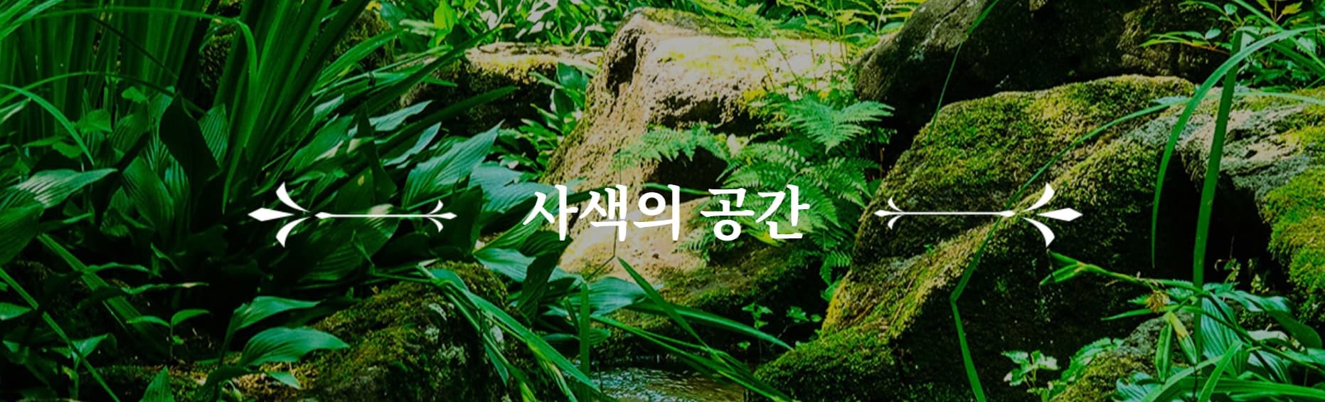 [서울 근교 여행] 경기도 파주 드라마 촬영지 사계절 내내 아름다운 벽초지수목원