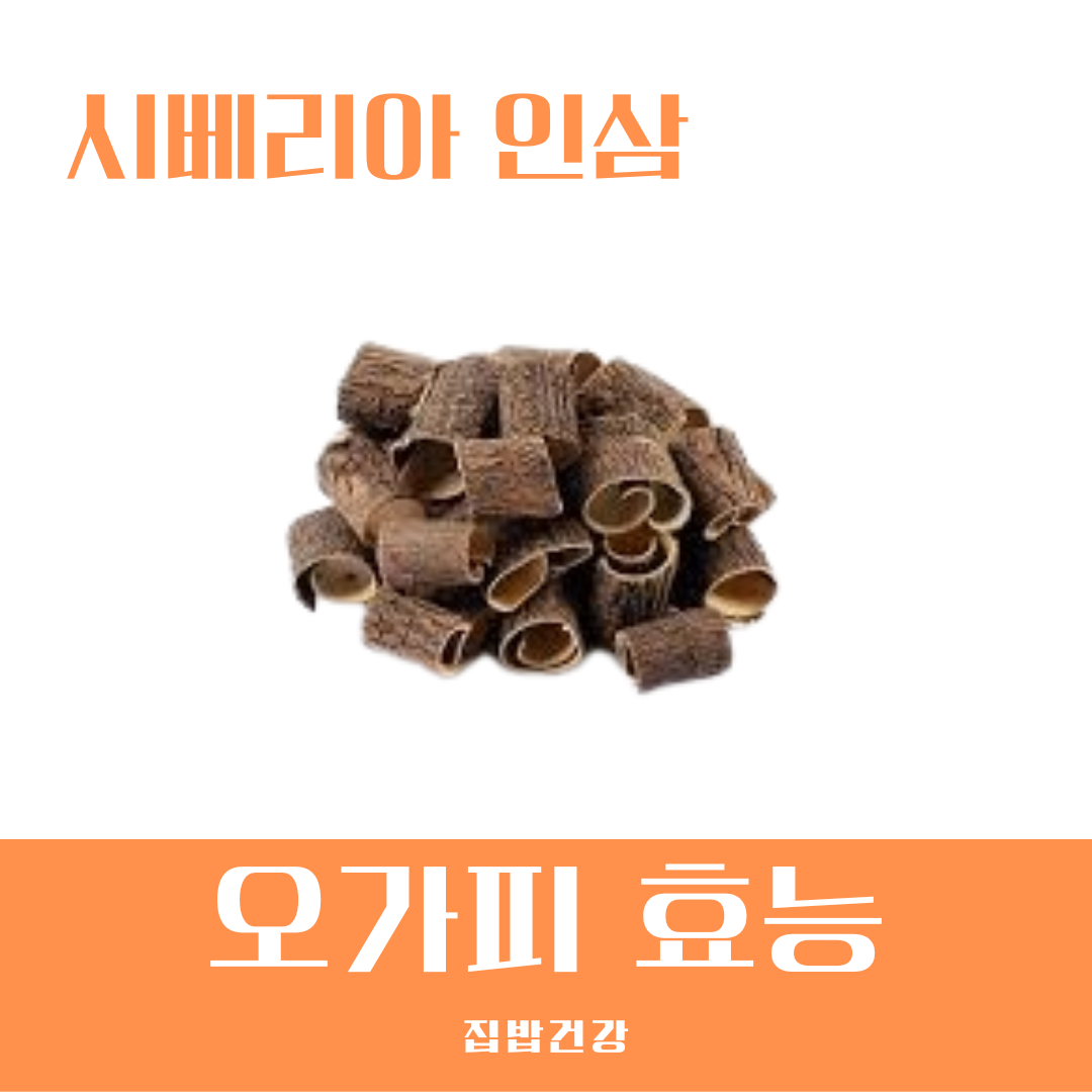 오가피 효능
