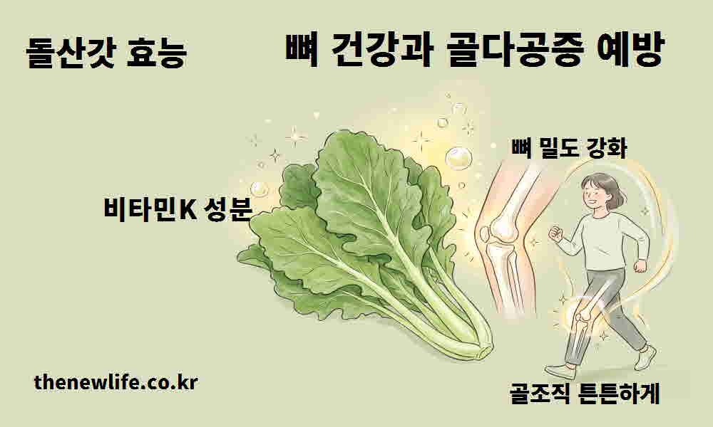 돌산갓 효능 뼈 건강 골다공증 예방