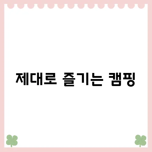 제대로 즐기는 캠핑, 대천해수욕장에서의 완벽한 하루