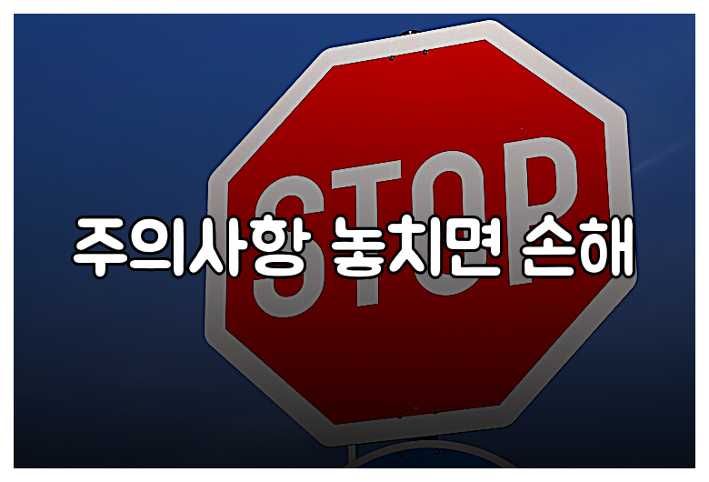 주의사항 놓치면 손해