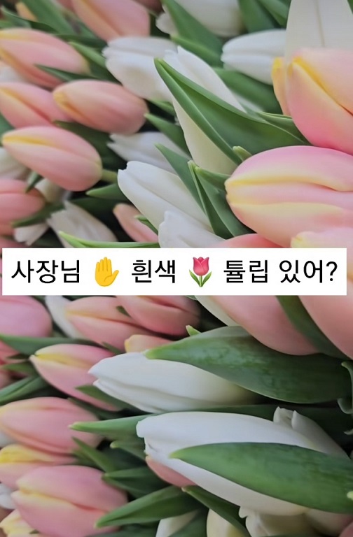 생활의달인-꽃포장달인-유스풀몰-2인1조꽃포장-꽃달인
