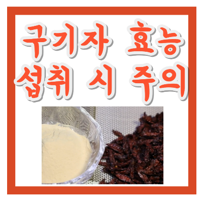 구기자 효능 총 정리