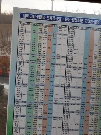 태백 고한 도계 시외버스 터미널 시간표 예매 요금_12