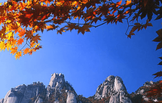 가을단풍 단풍버스 당일여행