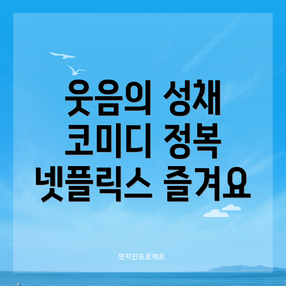 넷플릭스 코미디
