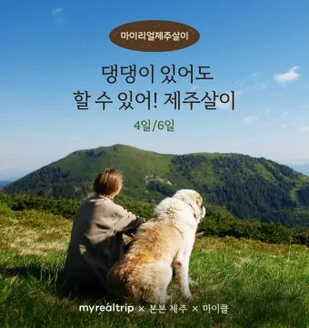 제주 반려견과 함께 가기 좋은 펫프렌들리 숙소 리스트_10