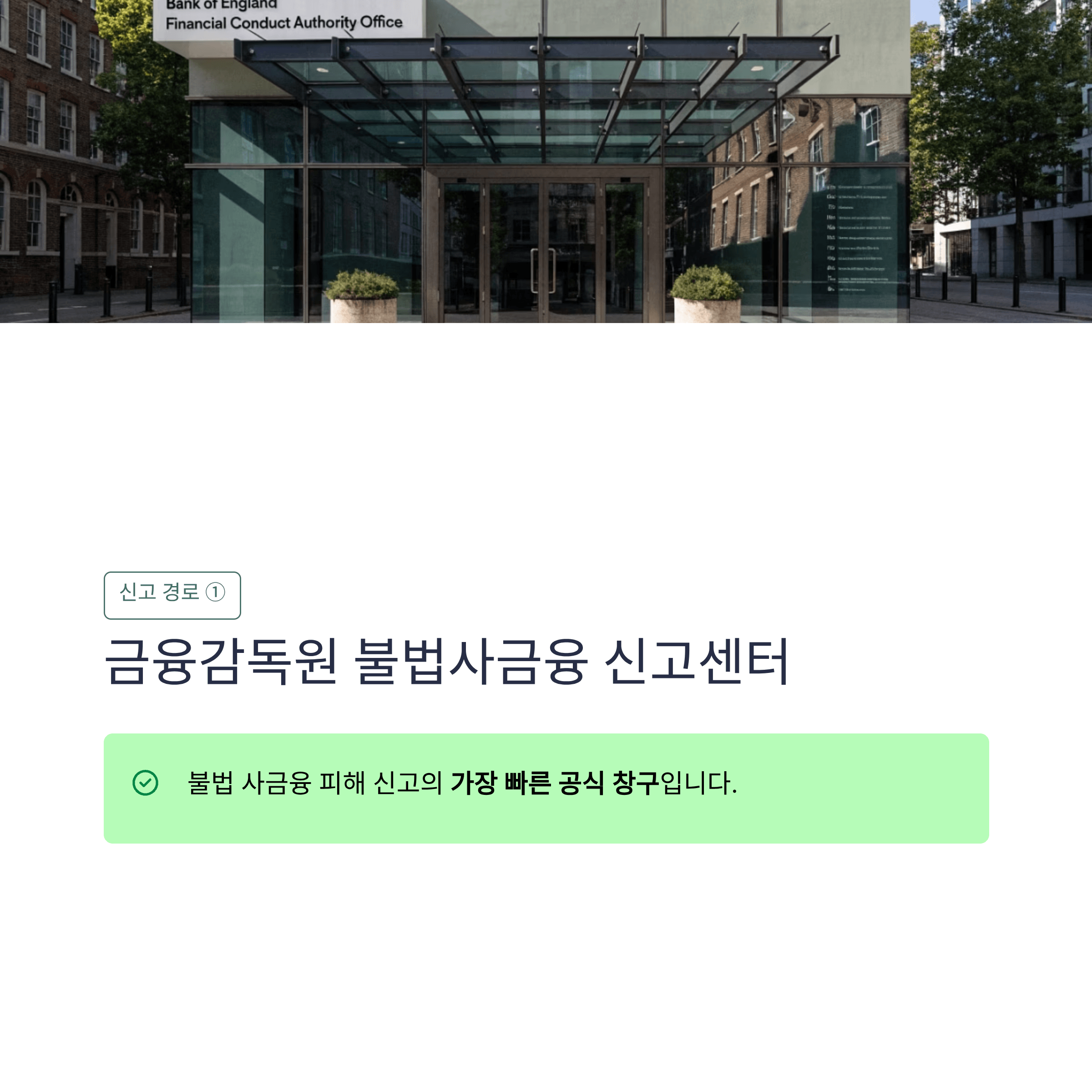 금융감독원 불법사금융 신고센터 인포그래픽