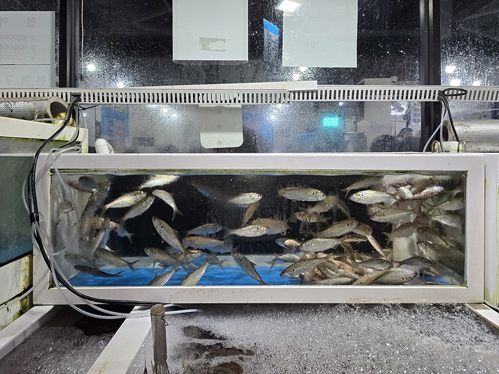 대구 수성구 들안길 불로회수산 수성점2