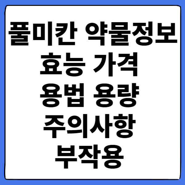 풀미칸 약물정보 효능 가격 용법 용량 주의사항 부작용
