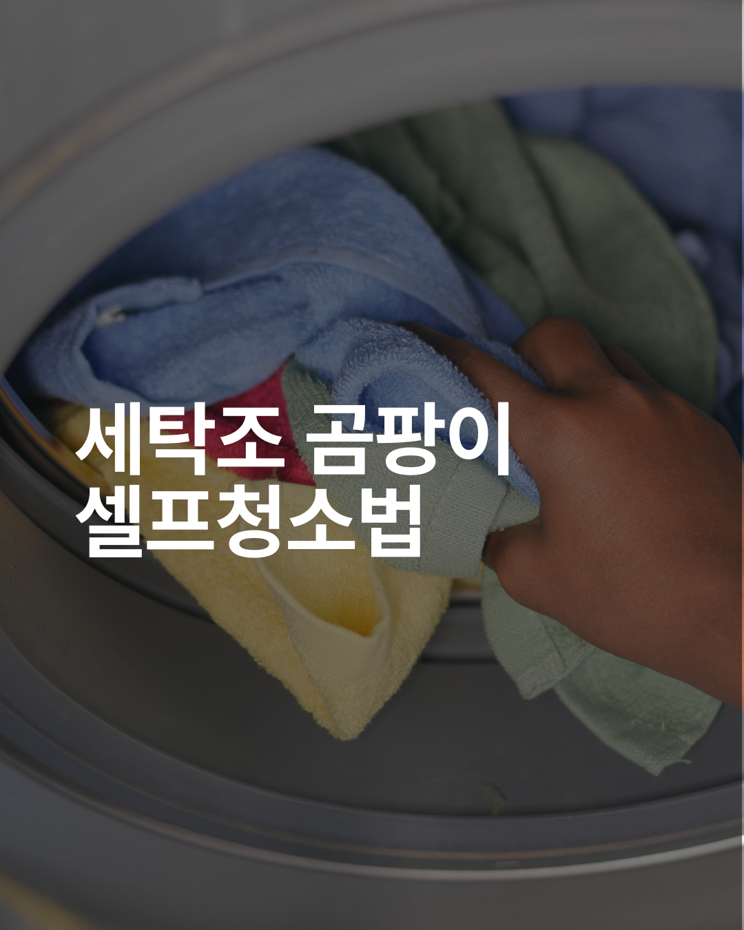 세탁조 곰팡이 셀프청소법