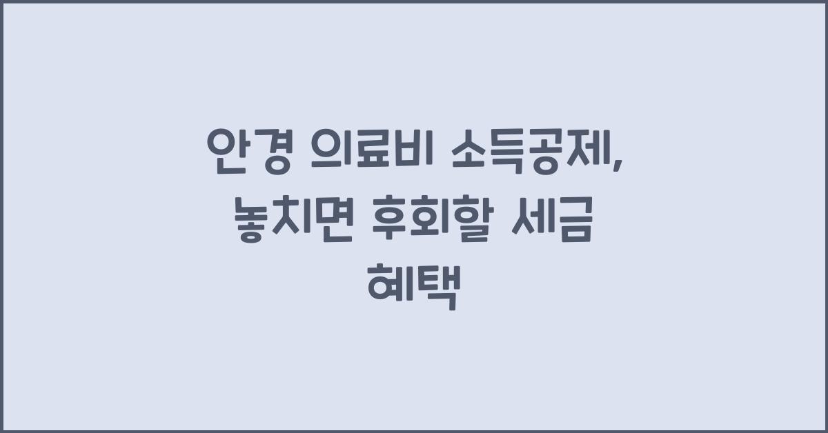 안경 의료비 소득공제