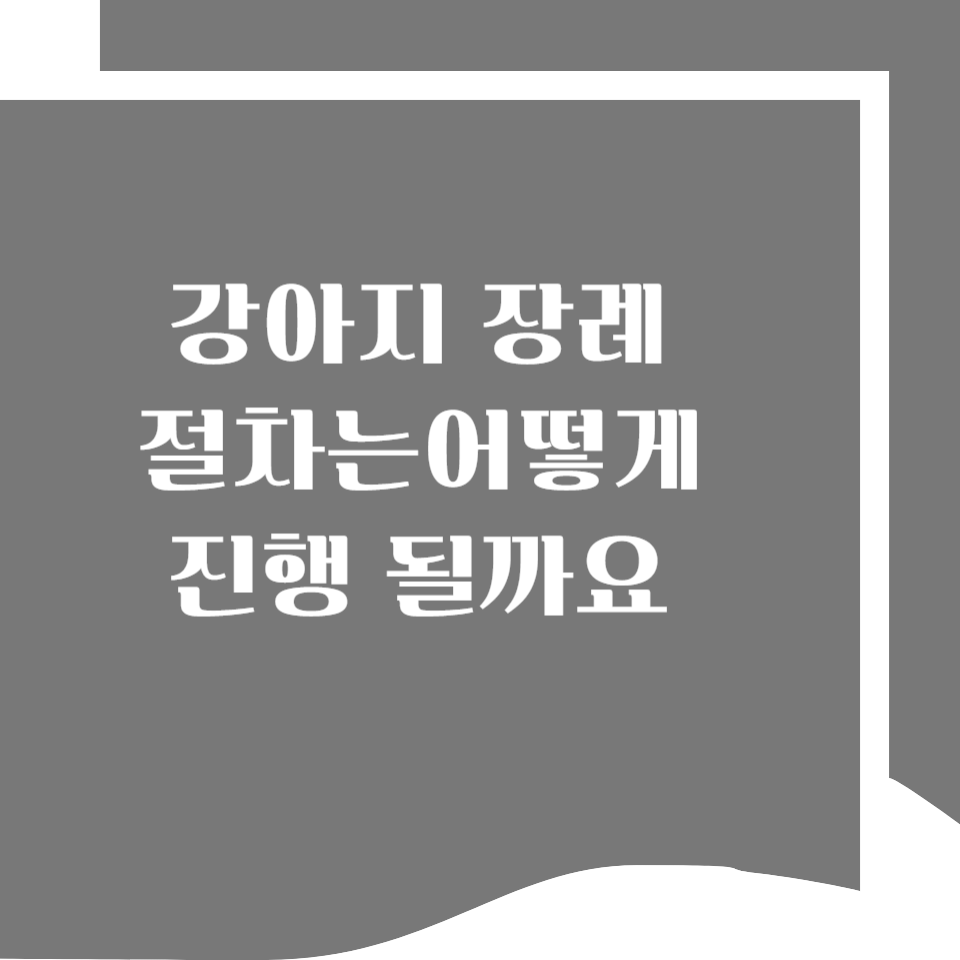 반려동물 장례식장 비용, 얼마나 들까요? 미리 알아두면 도움이 됩니다