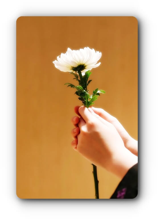 섬네일