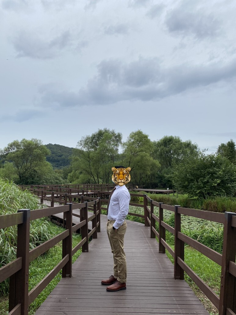 데일리 룩(오뭘입)_비슬로우스탠다드 자켓, 유니클로 셔츠, 보세 넥타이, 유니클로 치노팬츠, 스테파노로시 와이팁구두, 꿀조합스타일링, OOTD