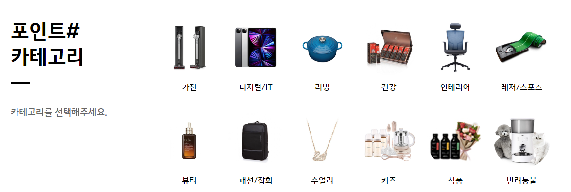 블루멤버스 포인트 사용처