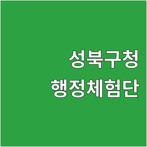 2025 성북구 청년 행정체험단 도전..