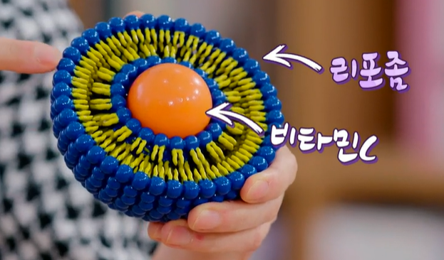 리포좀 비타민C