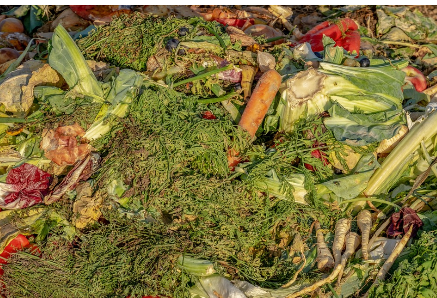 음식물 쓰레기를 줄이는 팁