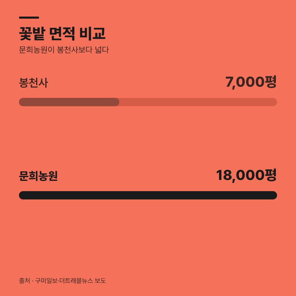 주차 여건과 혼잡도 비교
