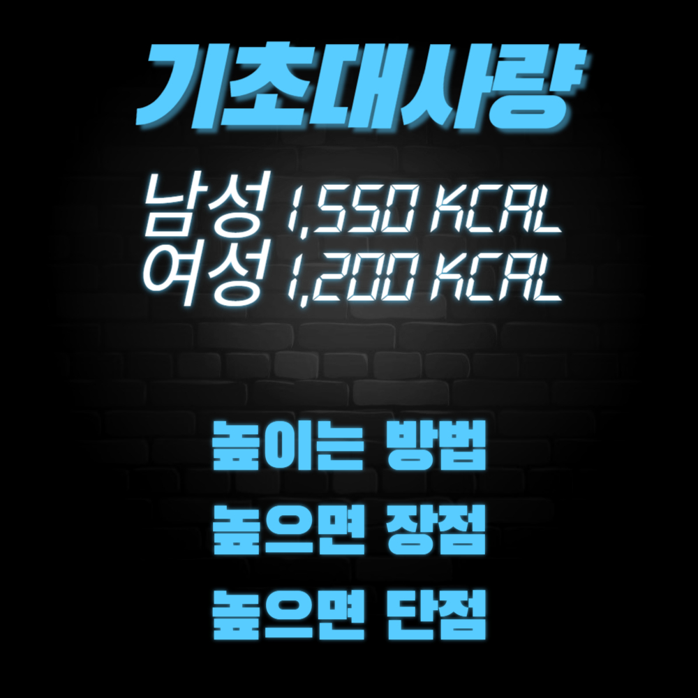 기초대사량 높이는 방법, 높으면 장점과 단점