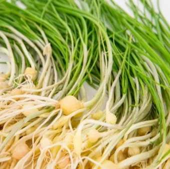 달래 손질 방법 달래장 맛있게 꿀팁_3