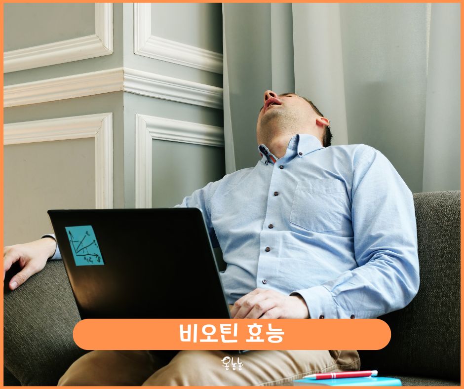 비오틴 효능