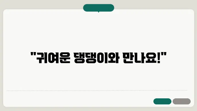 안양시 포메라니안 분양, 귀여운 갈색푸들 찾기!