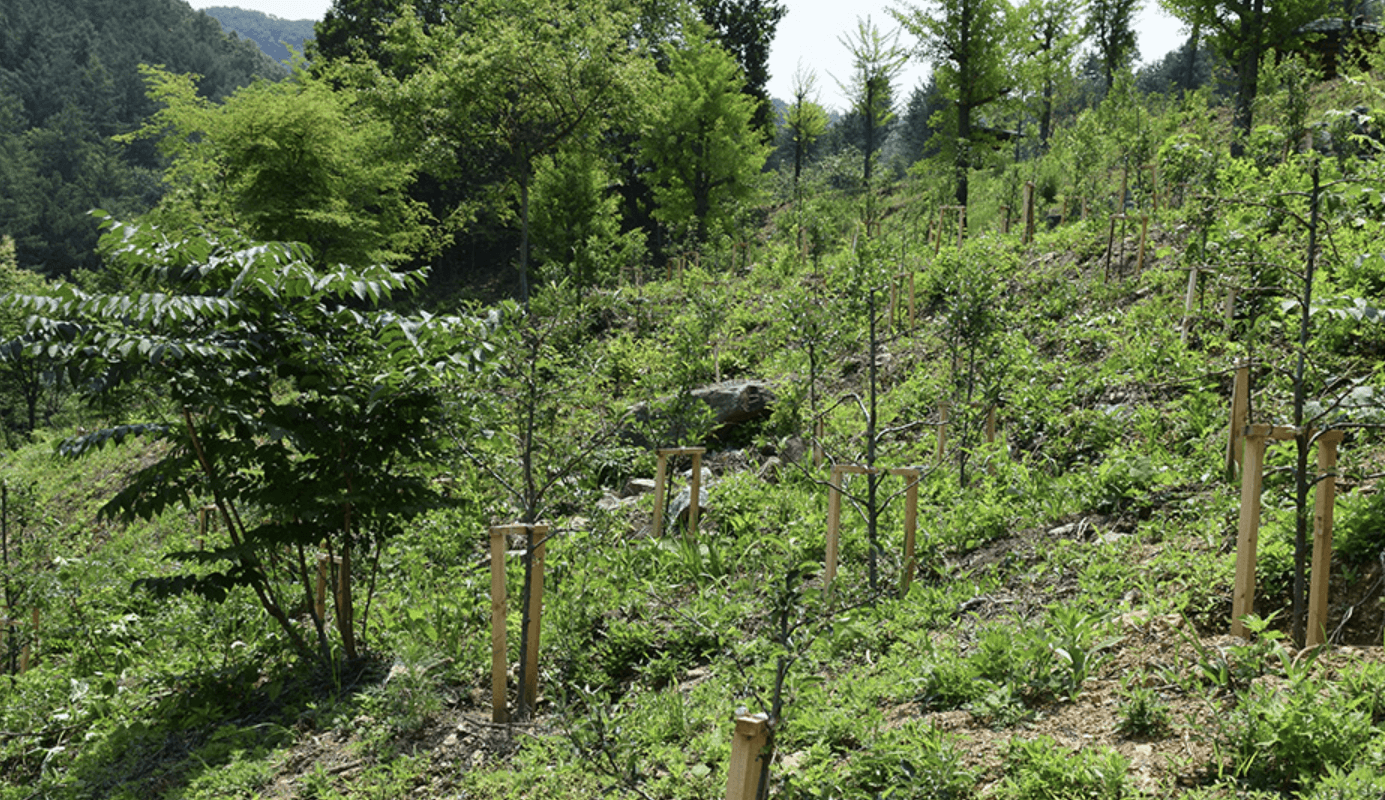 양평 남겨서 뭐 하게 맑은숲캠프