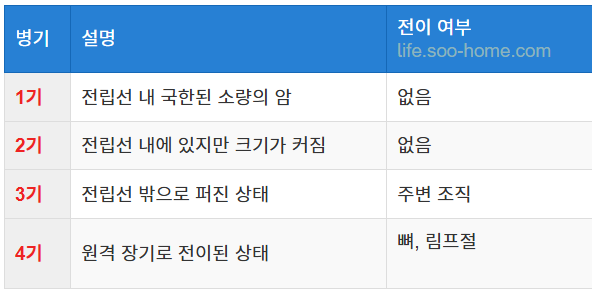 전립선암의 진행 단계