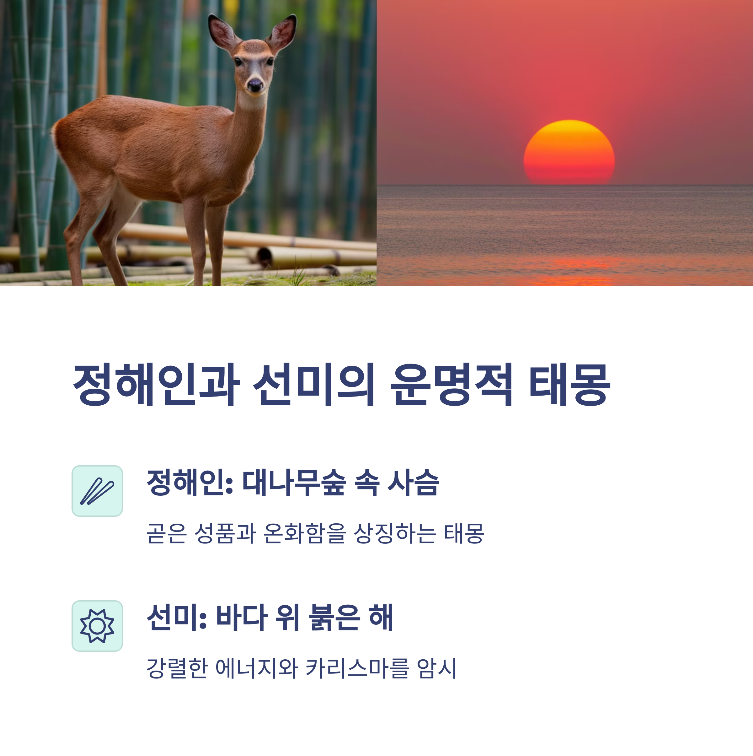 연예인들의 태몽 이야기 4탄