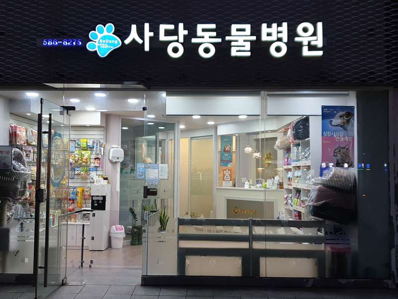 4.1 사당동물병원의 서비스 특징
