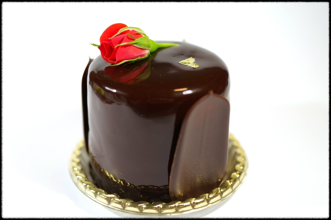 수의사가 경고한 금지 음식