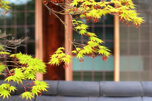 2025 여행가는달! 혜택 둘러보기