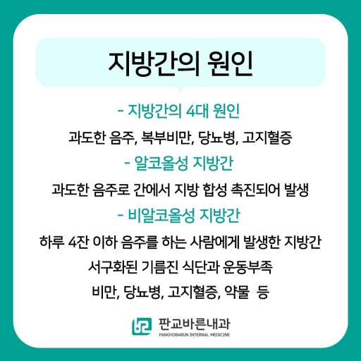 지방간이 생기는 진짜 원인