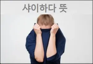 샤이하다 뜻