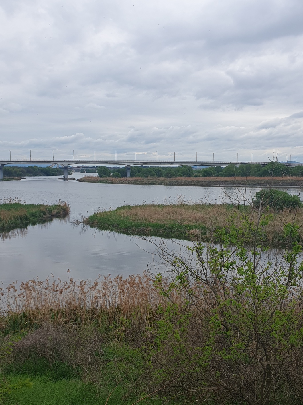 평택 소풍정원 캠핑장