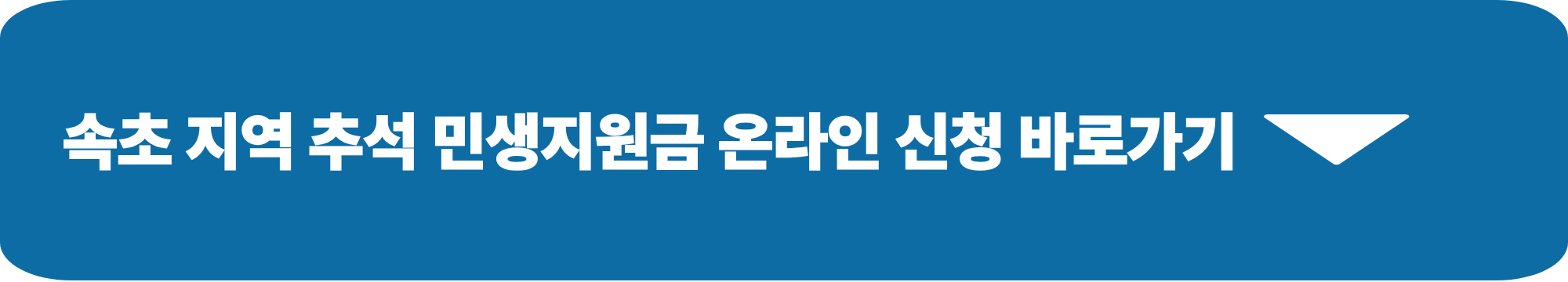 추석 민생지원금