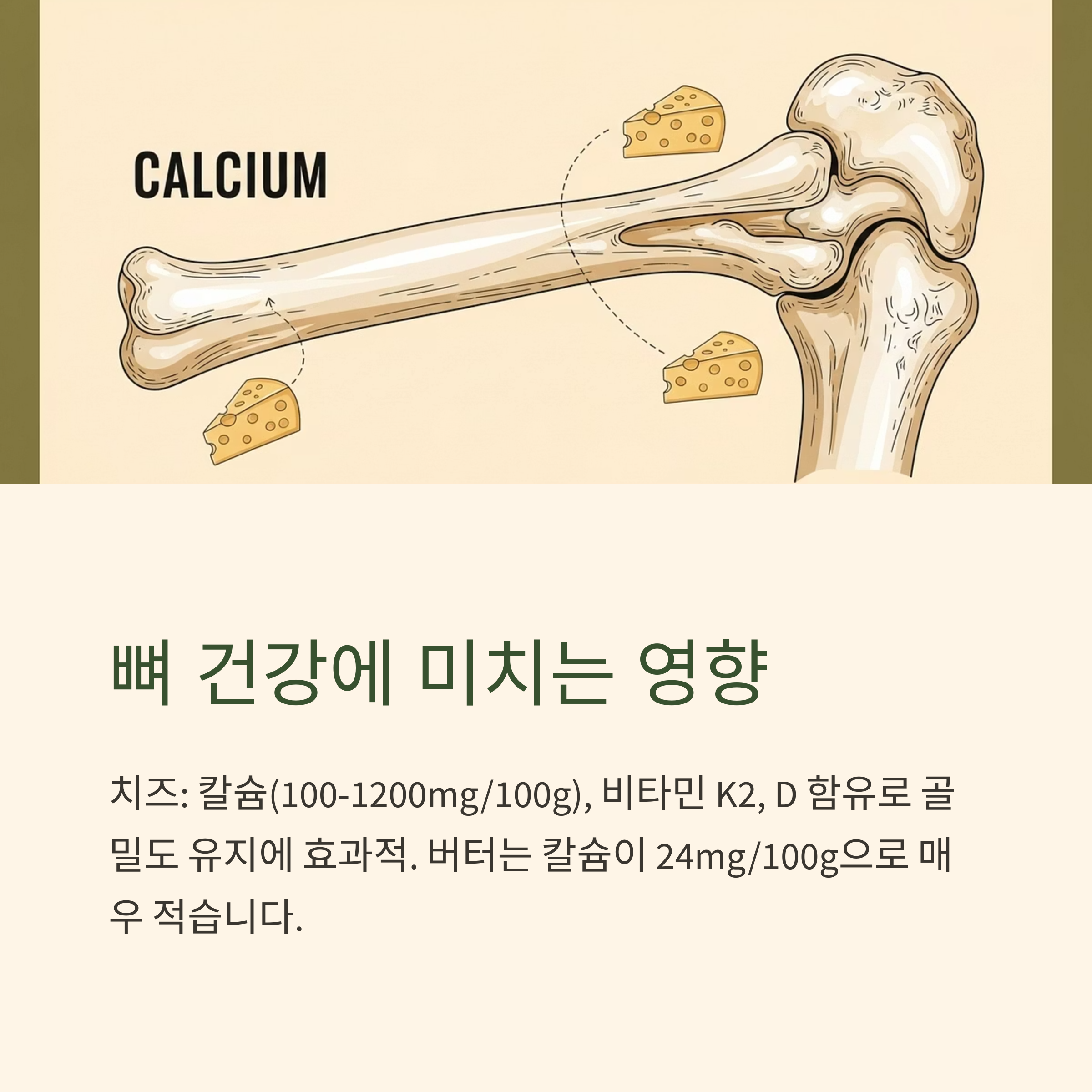 뼈 건강에 미치는 영향