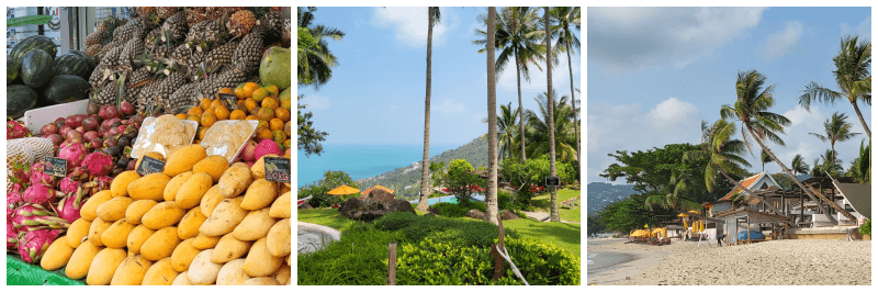 야시장 과일, 정글클럽, 차웽비치 사진